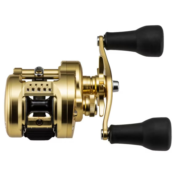Shimano Calcutta Conquest MD hyrräkela