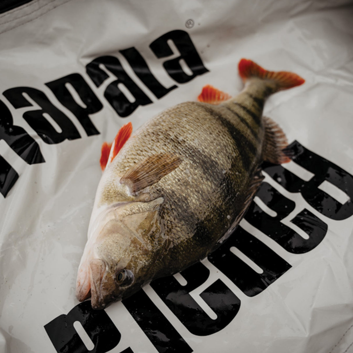 Rapala Weight & Release Mat punnituspussi