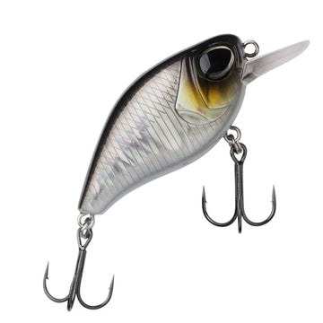 Baitfish
