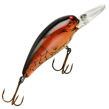 Dark Brown Crawdad