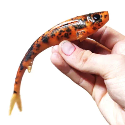 Polarbite Vertical18 18 cm - Happy Angler