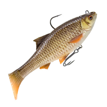 Bream