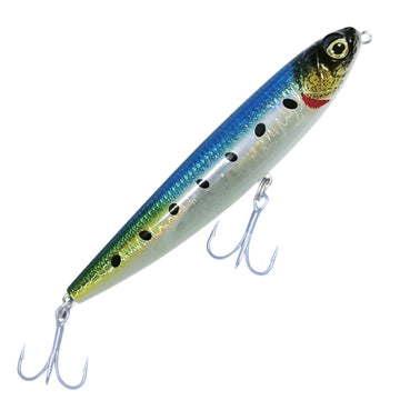 Sardine