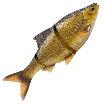 Glitter Bream