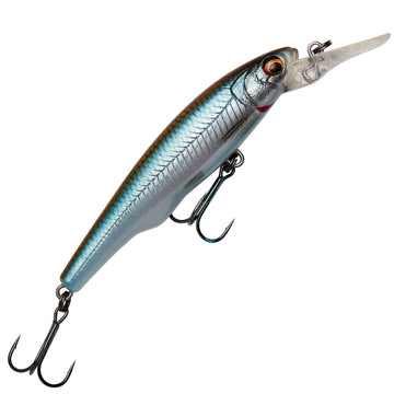 Roach