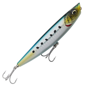 Sardine
