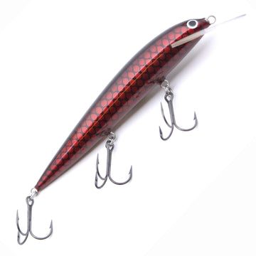 493 Mestarien Valinta värit