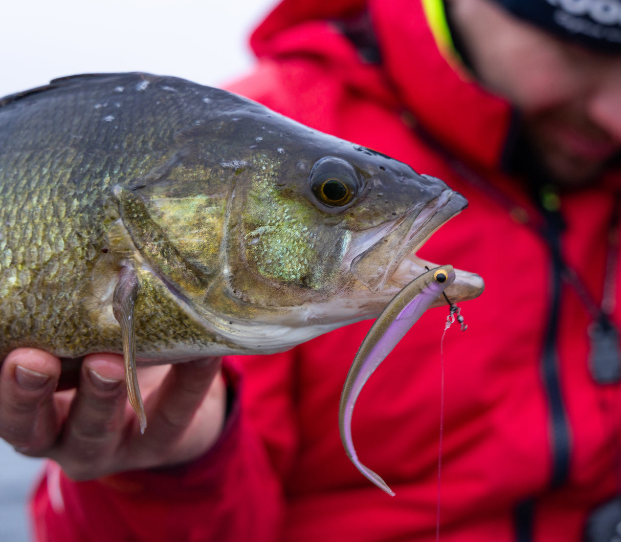 Kuore Feather 9 cm jigi 4 kpl/pkt