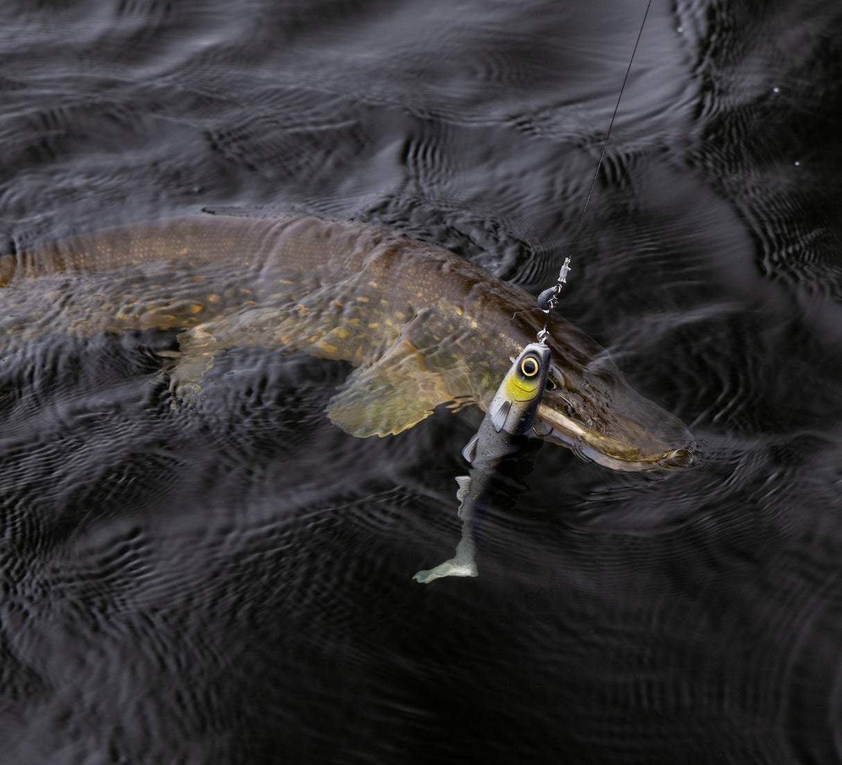 Kuore Bigfoot 30 cm jigi