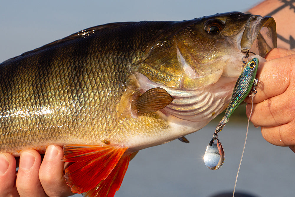 Hurricane Typhoon Runner 18 g spin tail