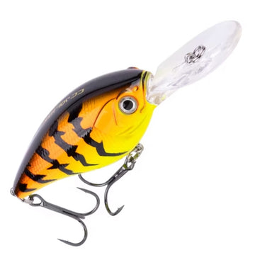 Orange Tiger