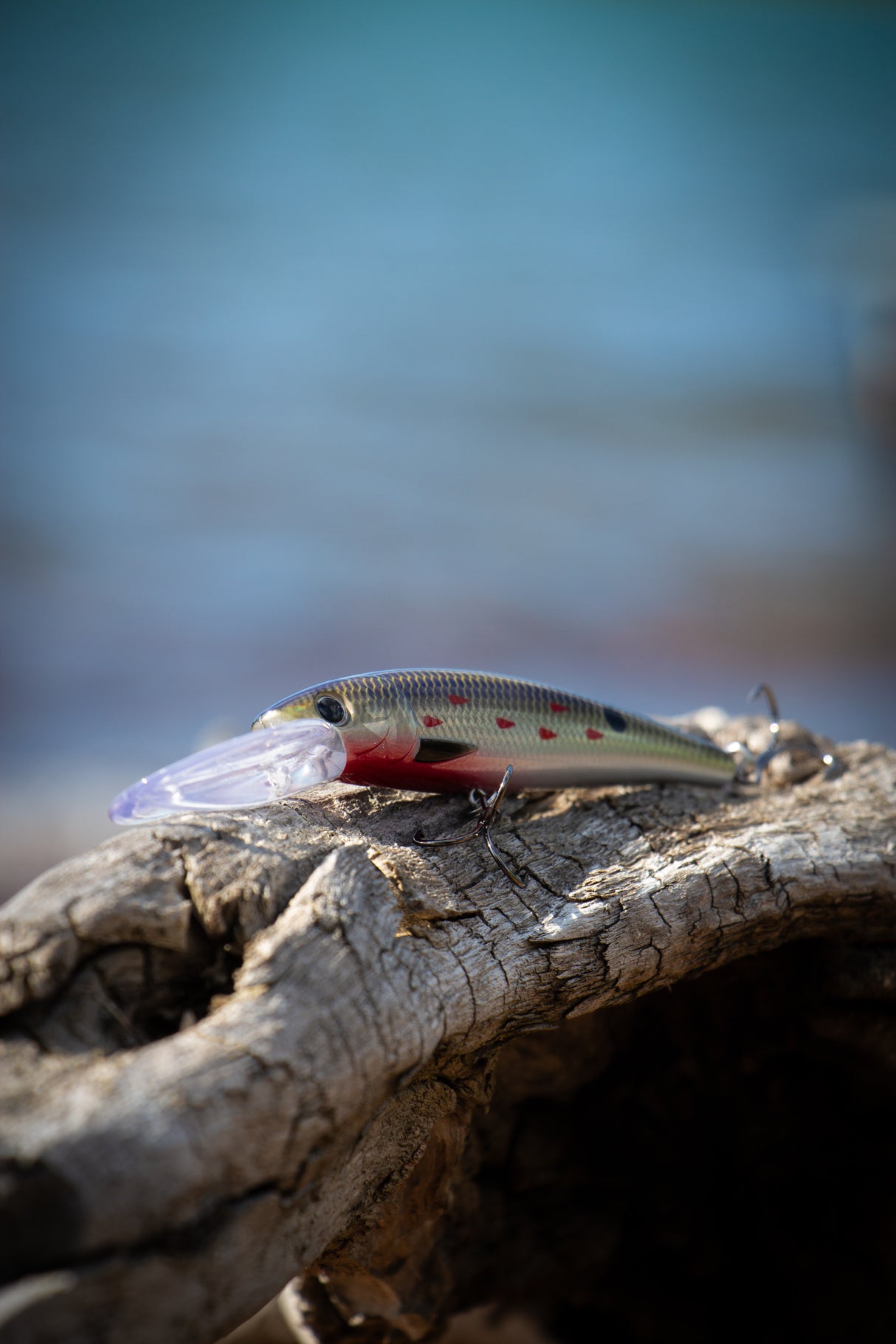 Hurricane Grimner Deep 13 cm vaappu