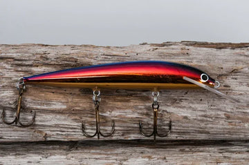 C55 Mestarien Valinta värit