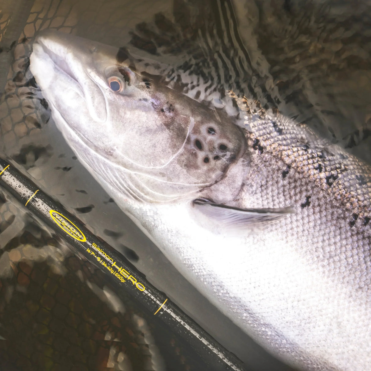 Vision Salmon HERO perhovapa - Happy Angler