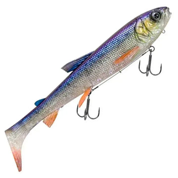 Whitefish