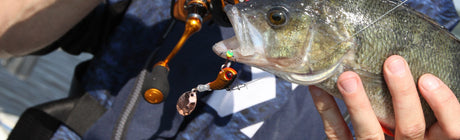 Ahvenen kalastus kesällä kovavieheillä – hauskaa ja tehokasta! - Happy Angler