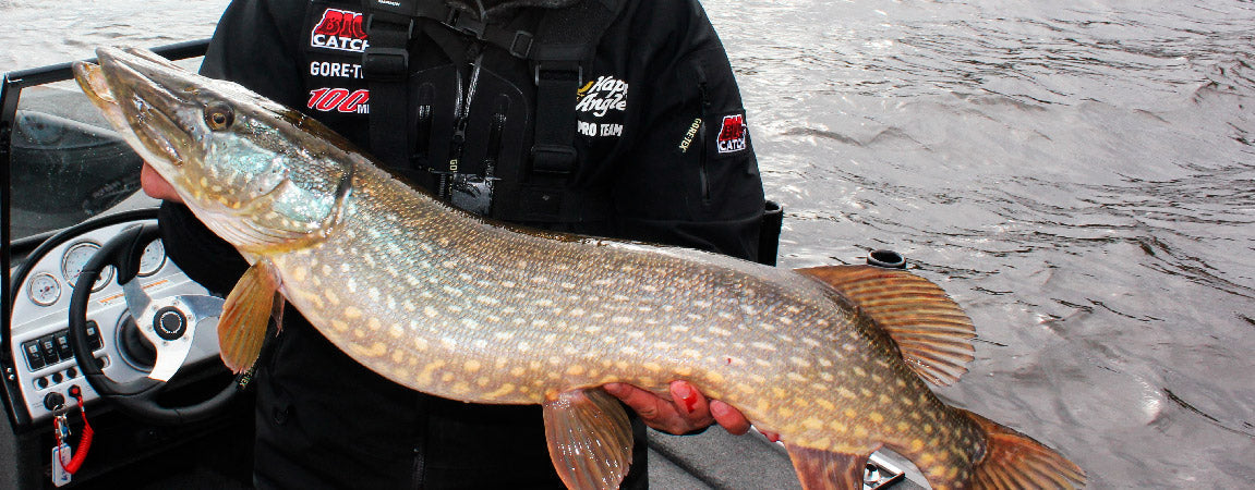 Kysymyksiä hauenkalastuksesta ja välineistä - asiantuntijat vastaavat! - Happy Angler