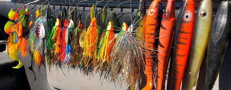 Hauen jigaus - Happy Angler