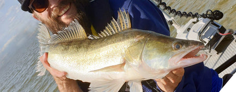 Vinkkejä liveluotaukseen ja täsmäkalastukseen - Happy Angler