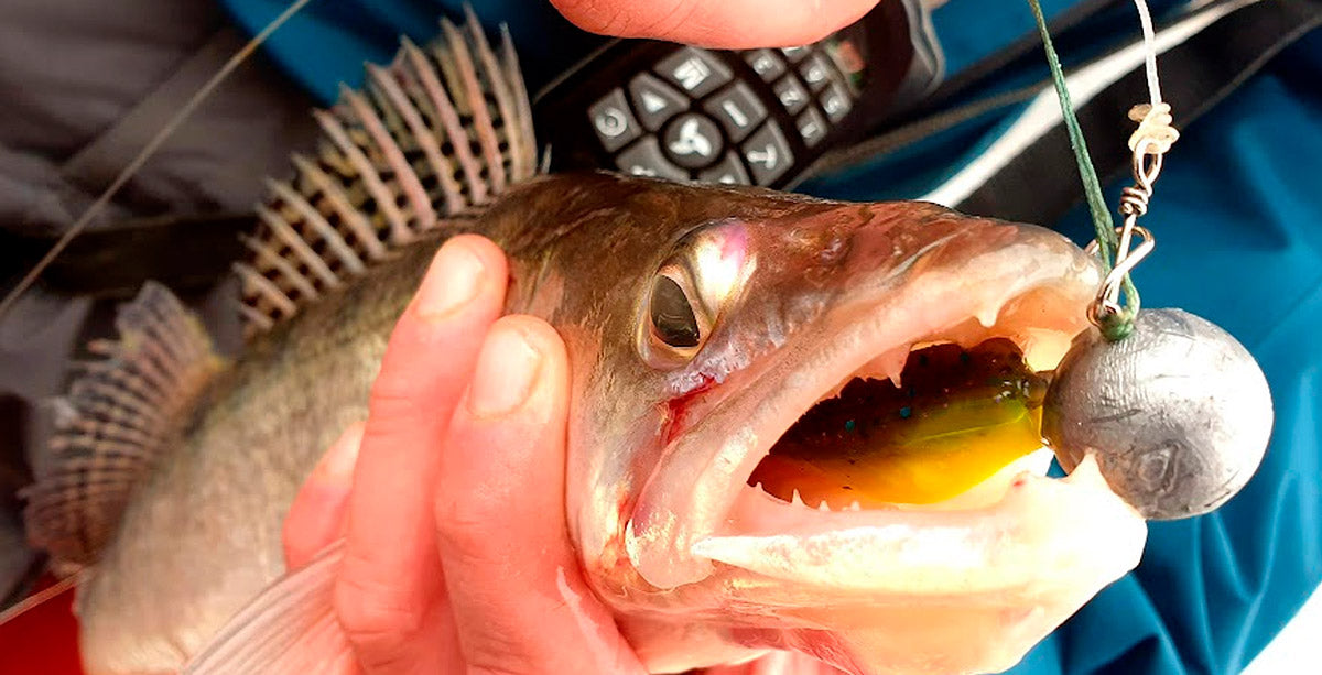 Vertikaalijigaus - Happy Angler