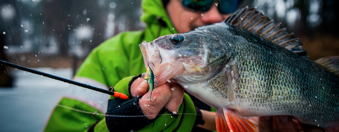 Vinkit kaikuluotaimen käyttöön talvikalastuksessa - Happy Angler