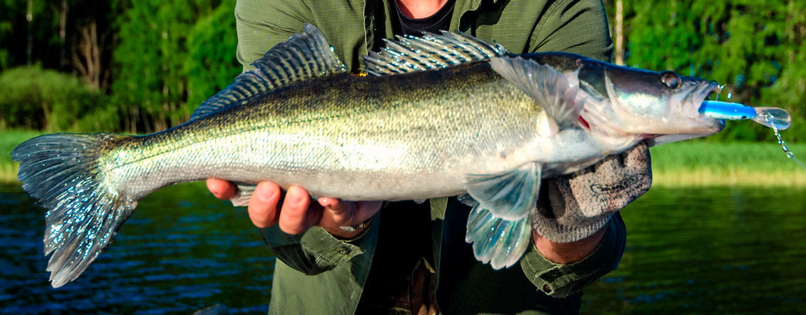 Uistelijan helppokäyttöiset lisävarusteet - painot, painosyvääjä ja tuplauistin - Happy Angler
