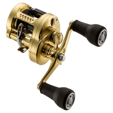 Shimano Calcutta Conquest MD hyrräkela