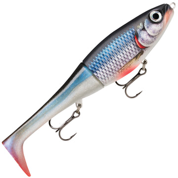 Spawning Roach