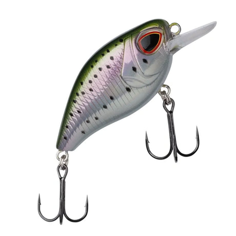 Berkley DEX Thumper 5,5 cm vaappu