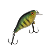 Berkley Pulse Fry Shallow 3,8 cm vaappu