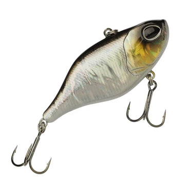 Baitfish