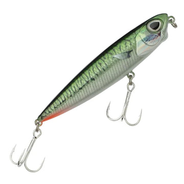 Green Mackerel