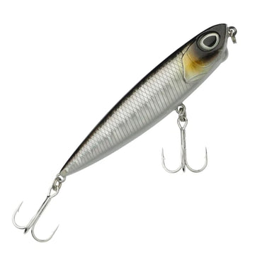 Baitfish