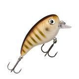 Berkley Pulse Biggie 8 cm vaappu