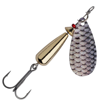 Roach