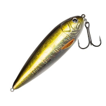 Golden Roach
