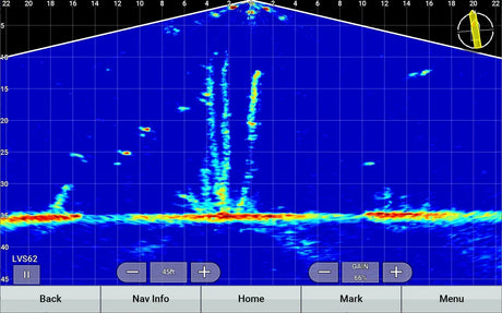 Garmin Panoptix LiveScope XR LVS62 anturi - Happy Angler