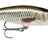 Rapala Deep Tail Dancer 13 cm vaappu - Happy Angler