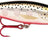 Rapala Deep Tail Dancer 13 cm vaappu - Happy Angler