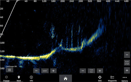 Garmin Panoptix LiveScope XR System LVS62 + GLS10 - Happy Angler