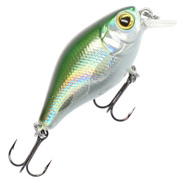 Olive Bleak