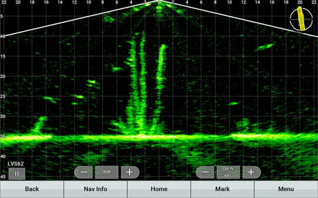 Garmin Panoptix LiveScope XR LVS62 anturi - Happy Angler