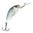 Salmo Hornet 3F 3,5 cm vaappu - Happy Angler