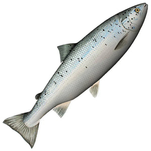 🐠 Lasten kalastusvälineet