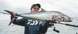 Daiwa 25 Saltiga hyrräkela - Happy Angler