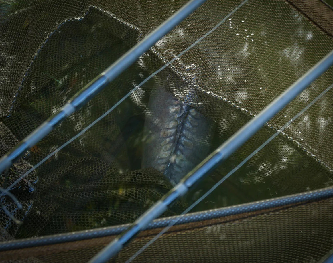 Prologic C3 Fulcrum Ridgid Framed Landing Net 42" haavi