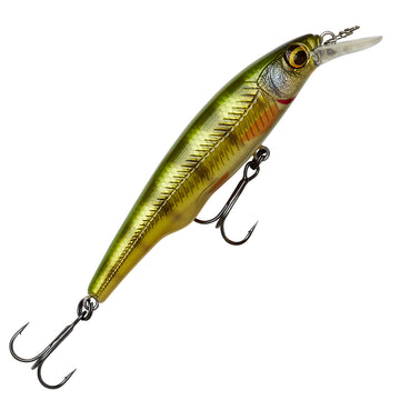Perch