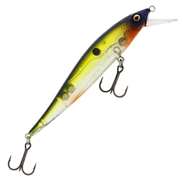 Hot Shad