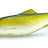 Orka Shad 7cm jigi 5kpl/pkt - Happy Angler