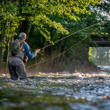 Vision VIBE 85+ WF perhosiima